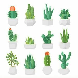 Meet your Posher, Devin